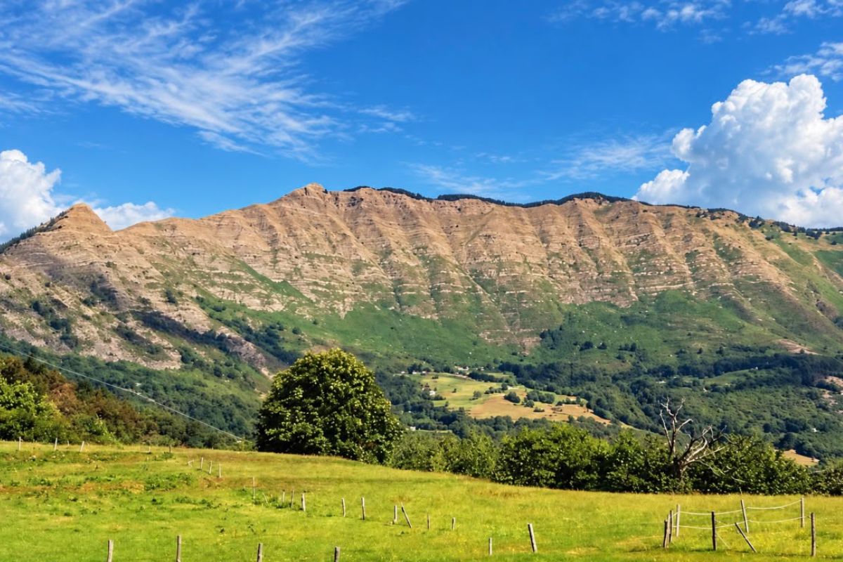 Sentiero tra i prati della Val Cichero verso il Monte Ramaceto in Liguria